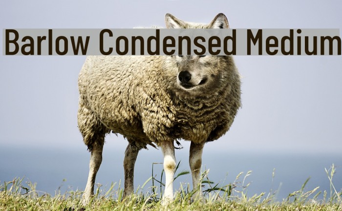 Barlow Condensed Medium Font examples