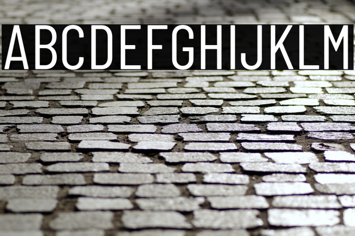 Barlow Condensed Regular Example 1