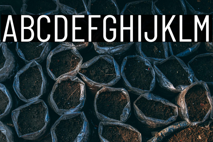 Barlow Condensed Regular Example 2