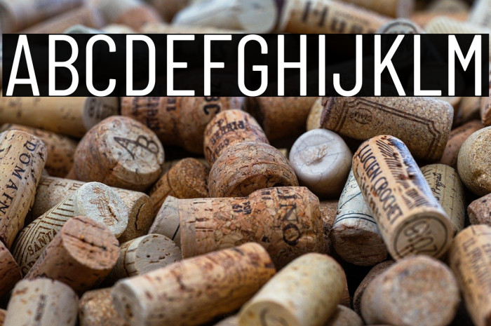 Barlow Condensed Regular Example 3