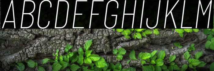 Barlow Condensed Thin Italic Example 2