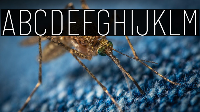 Barlow Condensed Thin Example 2