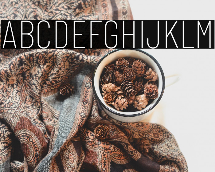 Barlow Condensed Thin Example 3