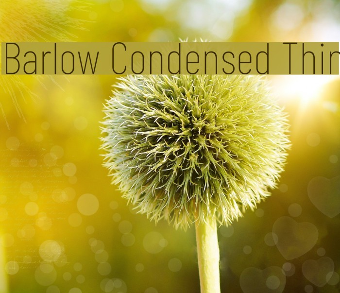 Barlow Condensed Thin Font examples