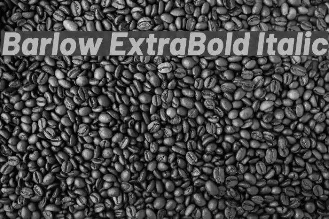 Barlow ExtraBold Italic Font examples