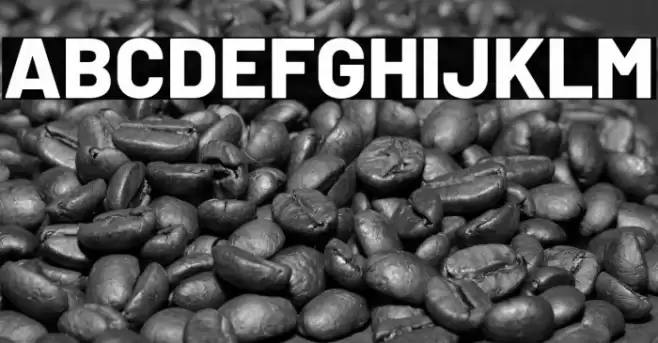 Barlow ExtraBold Font examples