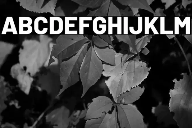 Barlow ExtraBold Font examples