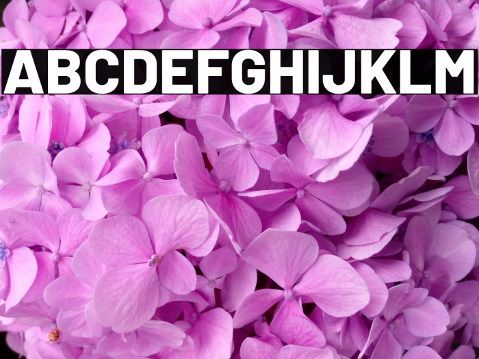 Barlow ExtraBold Example 3