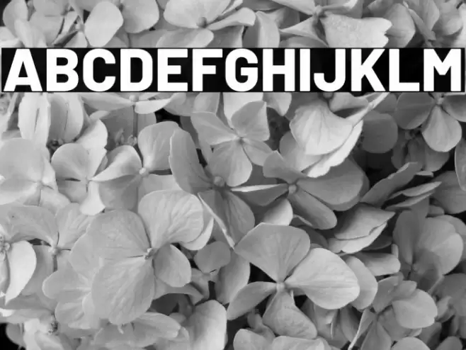 Barlow ExtraBold Font examples