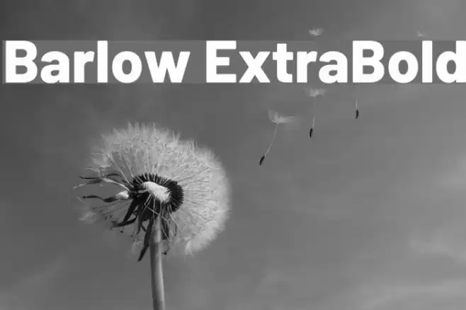 Barlow ExtraBold Font examples