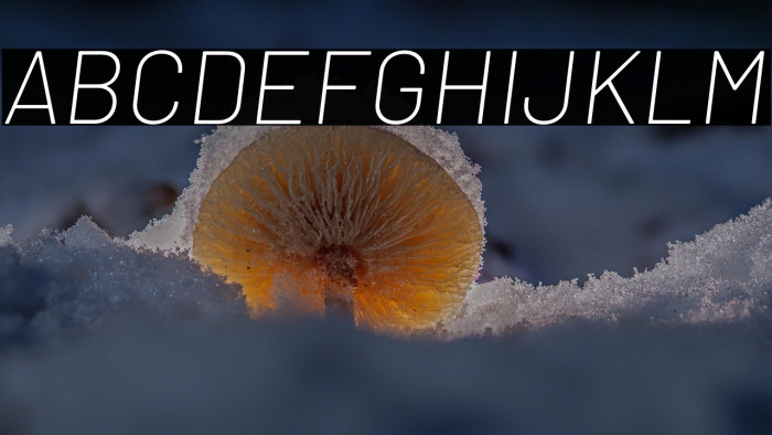 Barlow ExtraLight Italic Example 2