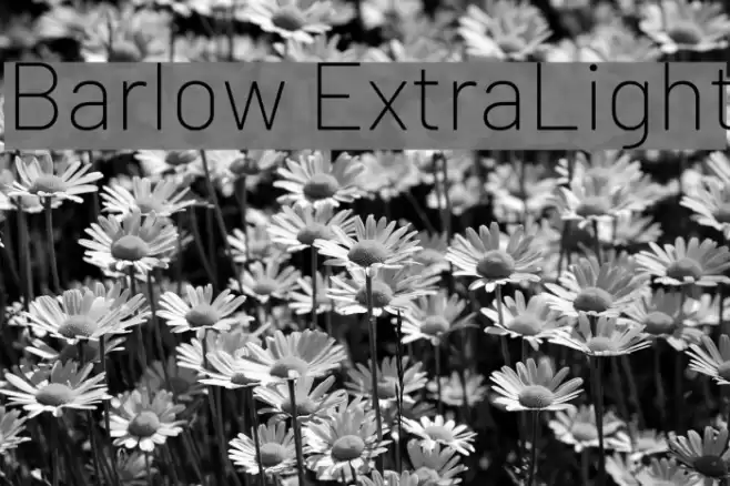 Barlow ExtraLight Font examples