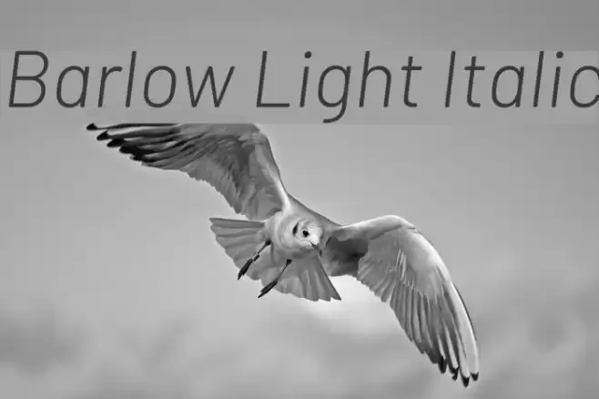 Barlow Light Italic Font examples