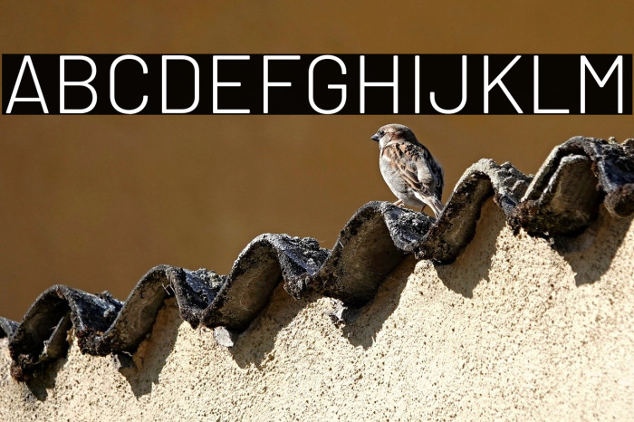 Barlow Light Example 1