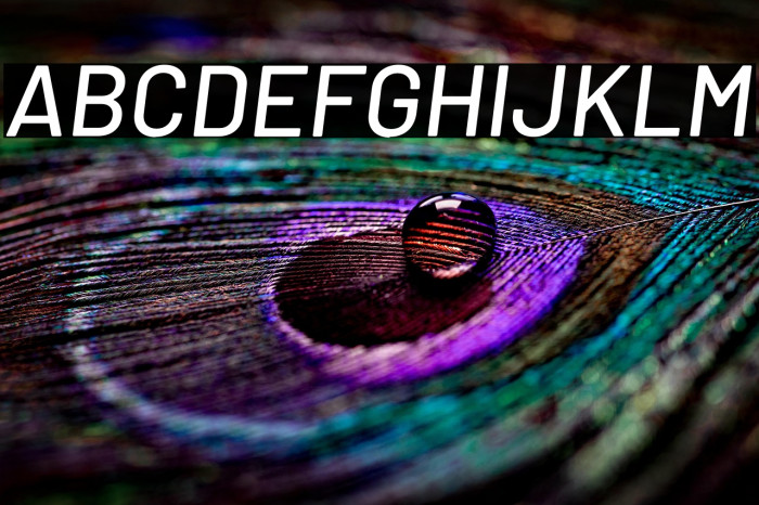 Barlow Medium Italic Example 3