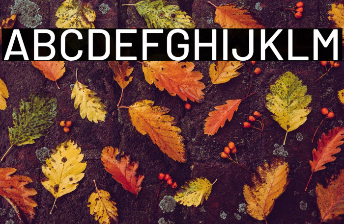 Barlow Medium Example 1