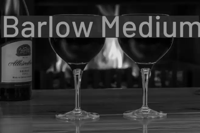 Barlow Medium Font examples