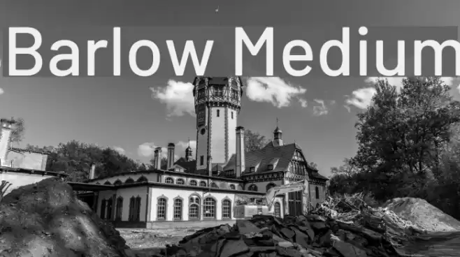 Barlow Medium Font examples