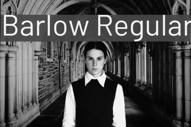 Barlow Regular Font examples