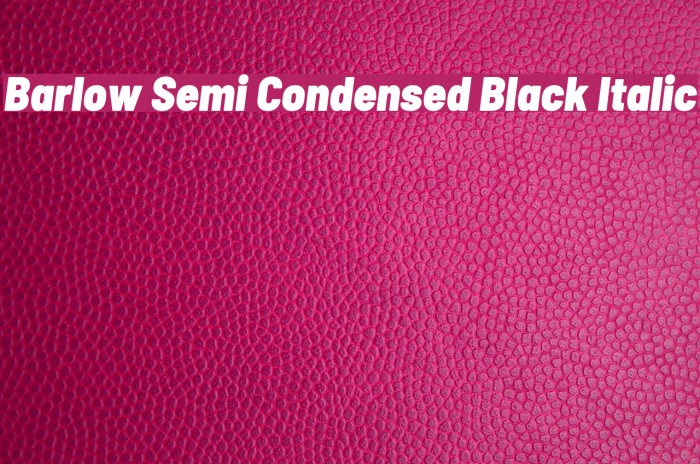 Barlow Semi Condensed Black Italic Font examples