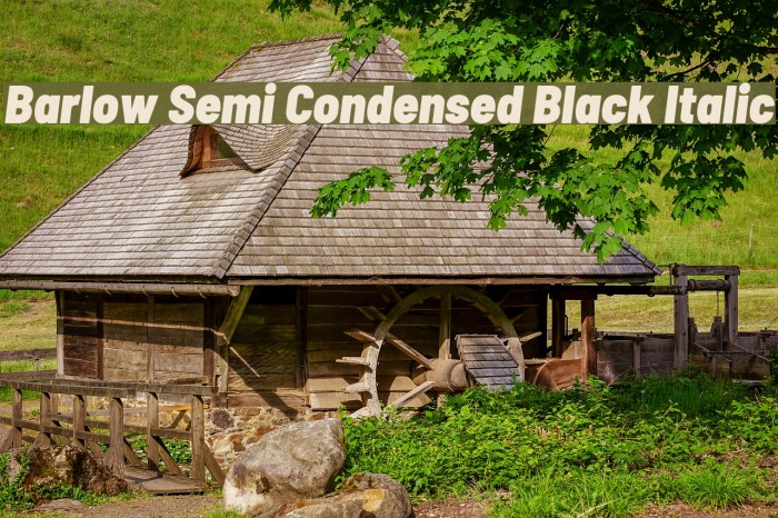Barlow Semi Condensed Black Italic Font examples