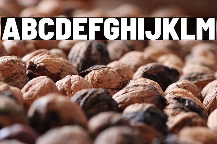 Barlow Semi Condensed Black Example 1