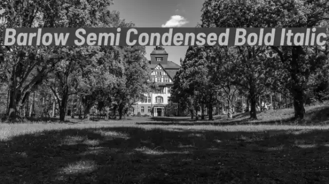Barlow Semi Condensed Bold Italic  examples