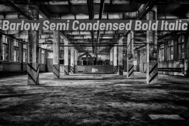 Barlow Semi Condensed Bold Italic  examples