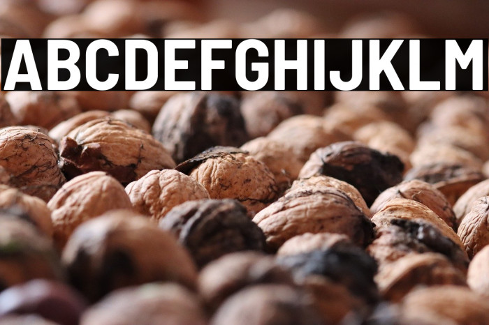 Barlow Semi Condensed Bold Example 1