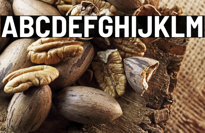 Barlow Semi Condensed Bold Example 3