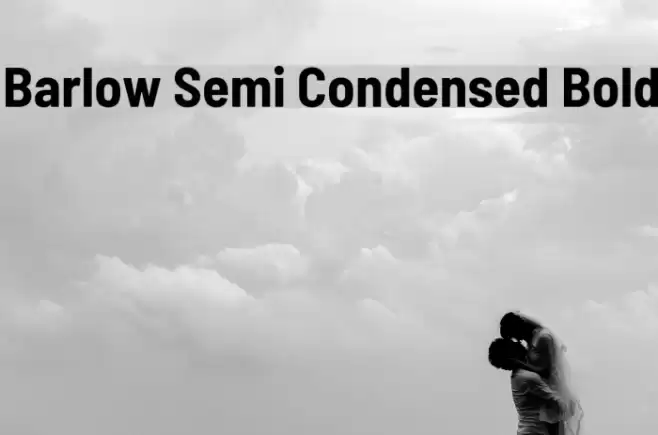 Barlow Semi Condensed Bold Font examples