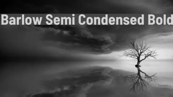 Barlow Semi Condensed Bold Font examples