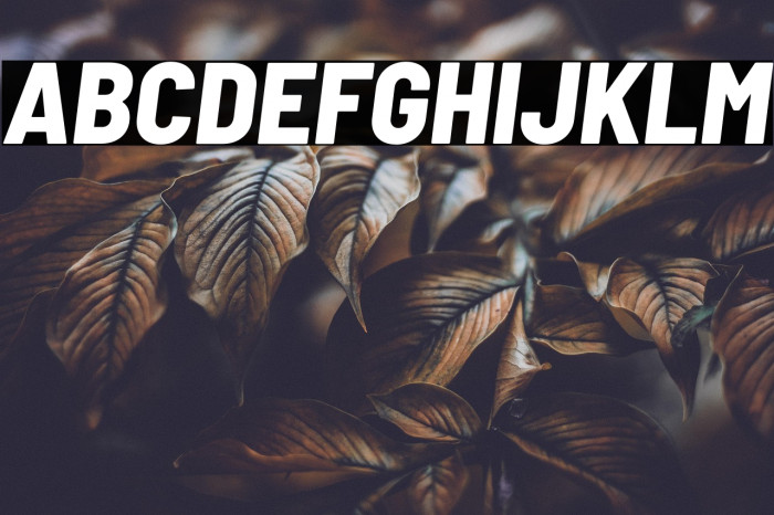 Barlow Semi Condensed ExtraBold Italic Example 1