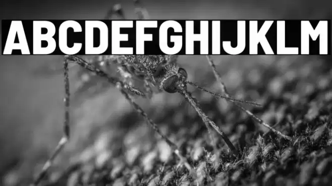 Barlow Semi Condensed ExtraBold Font examples