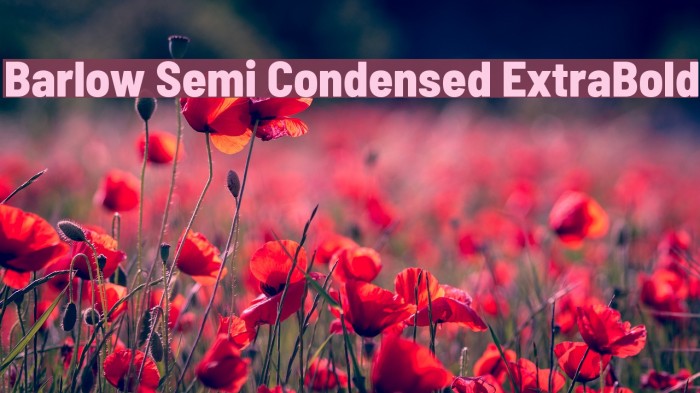 Barlow Semi Condensed ExtraBold Font examples