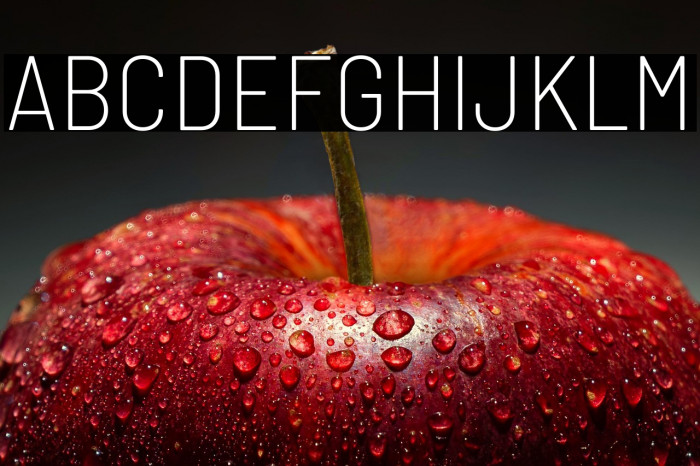 Barlow Semi Condensed ExtraLight Example 1