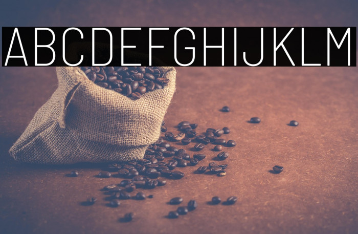 Barlow Semi Condensed ExtraLight Example 2