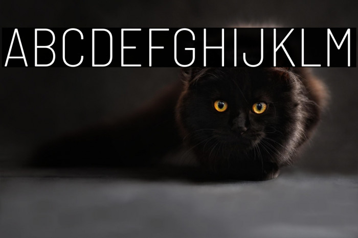 Barlow Semi Condensed ExtraLight Example 3