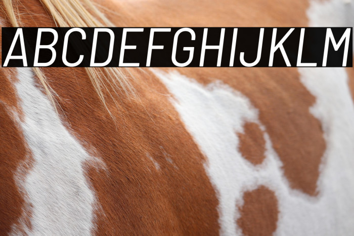 Barlow Semi Condensed Italic Example 3