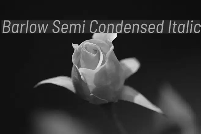 Barlow Semi Condensed Italic examples