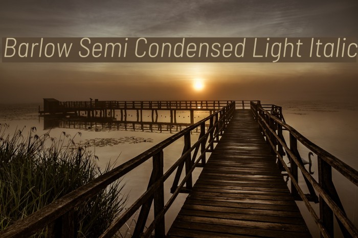 Barlow Semi Condensed Light Italic Font examples