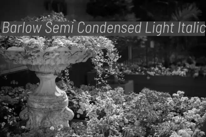 Barlow Semi Condensed Light Italic Font examples