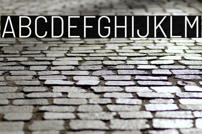 Barlow Semi Condensed Light Example 1