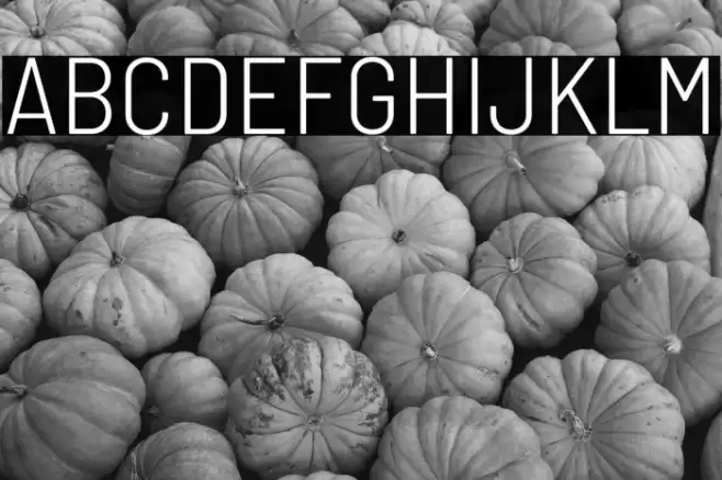 Barlow Semi Condensed Light Font examples