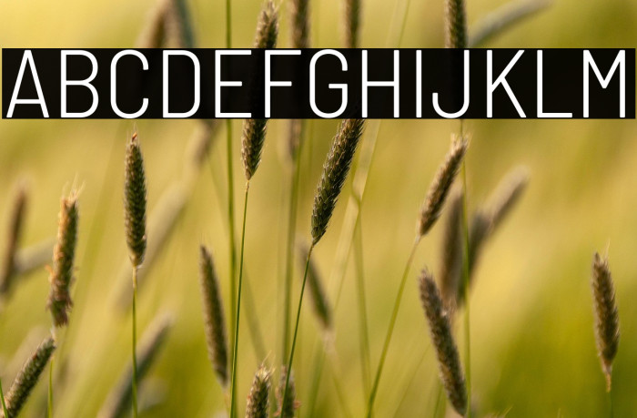 Barlow Semi Condensed Light Example 3