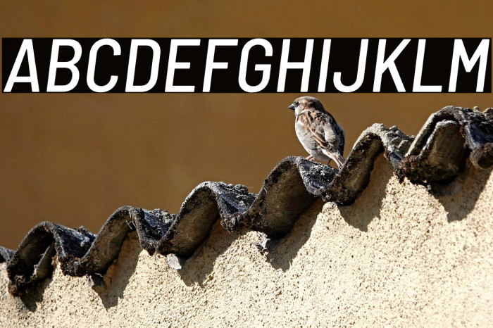 Barlow Semi Condensed Medium Italic Example 2