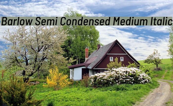 Barlow Semi Condensed Medium Italic Font examples