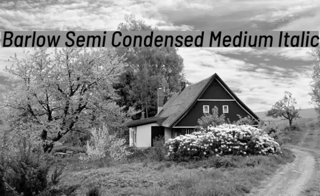 Barlow Semi Condensed Medium Italic Шрифта examples