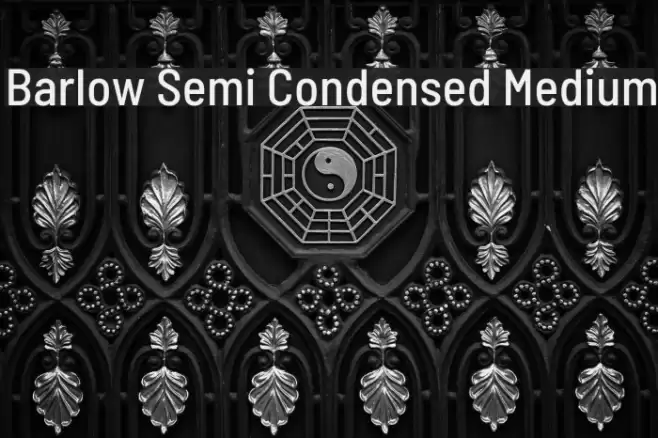 Barlow Semi Condensed Medium Font examples