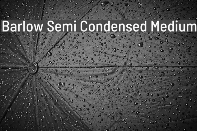 Barlow Semi Condensed Medium Font examples